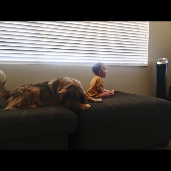 Meet your Posher, Athena - Picture 7 of 8